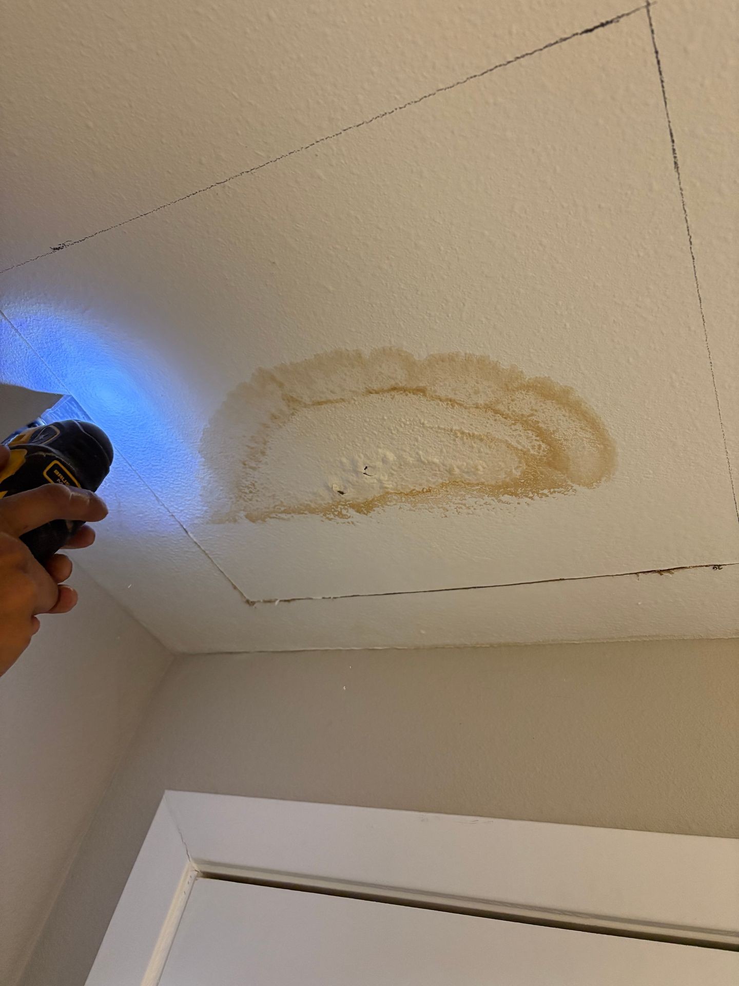 ROOF LEAKS? 